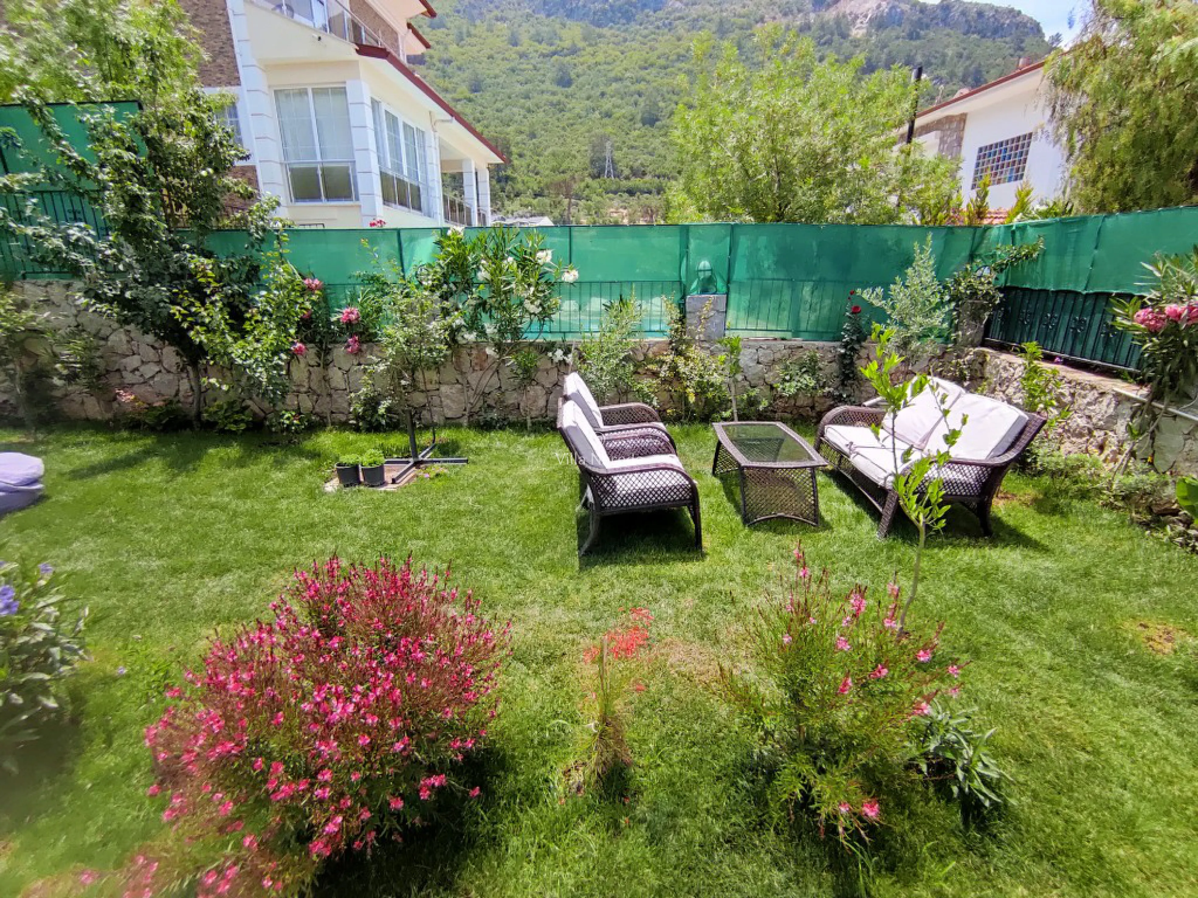 villa-nerede-villa-alphi-15_650.jpeg