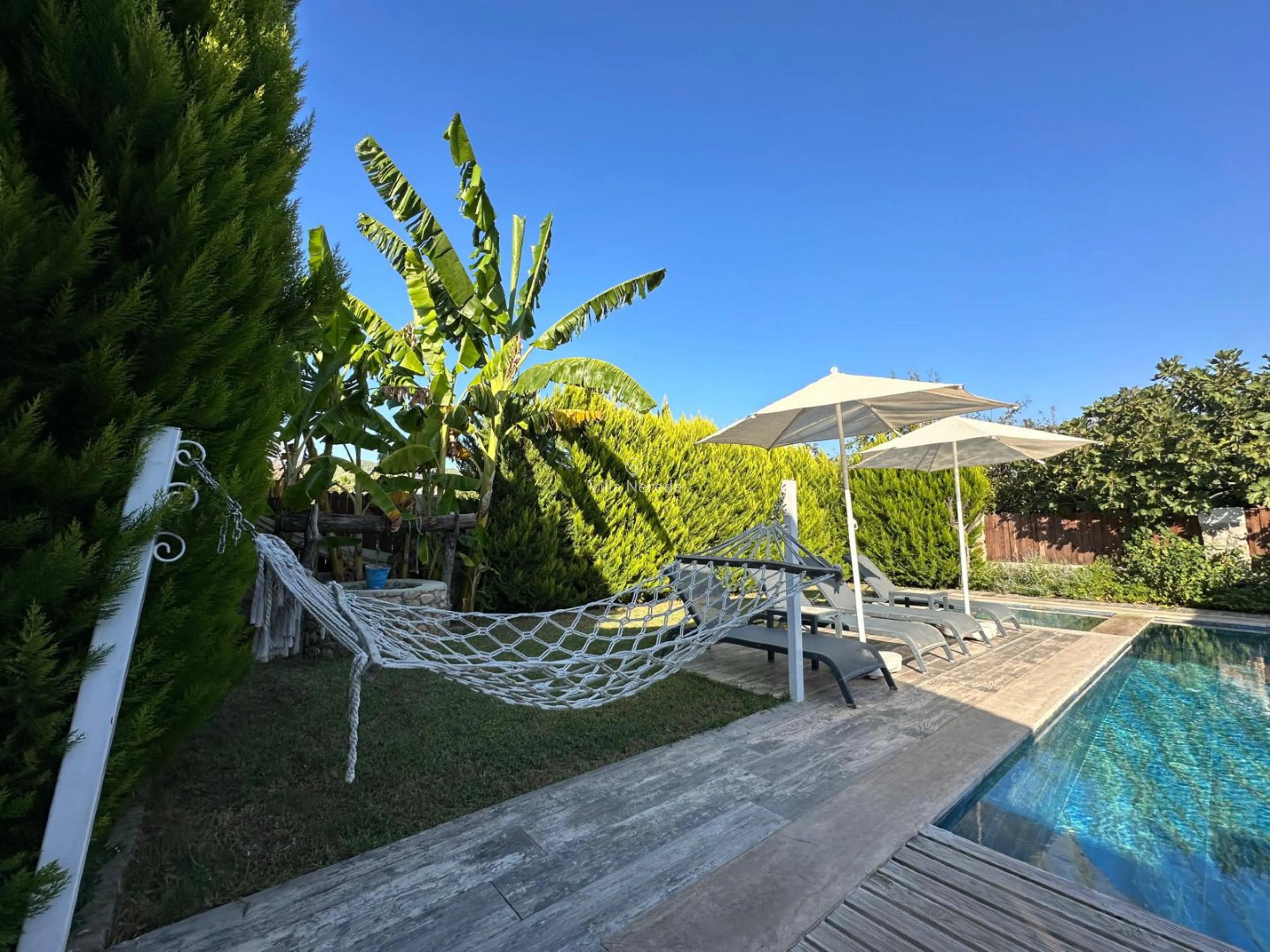 villa-nerede-villa-barbus-2-1_988.jpeg